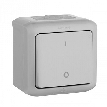 Выключатель двухполюсный 10А IP44, Серый. Legrand Quteo
