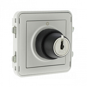 Выключатель с ключом 3A, 2 положения, IP55, Серый. Plexo. Legrand
