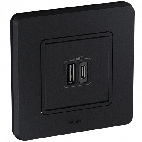Зарядное устройство с двумя USB-разьемами A-C 240В/5В 3000мА - INSPIRIA - антрацит